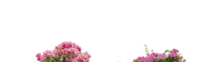 Westminster Towers Residential