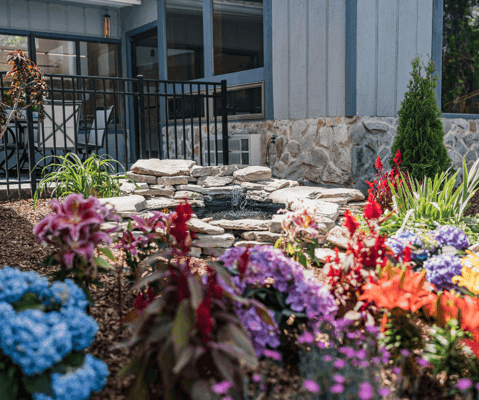Beautiful garden area with colorful flowers