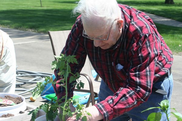 Senior resident gardening outdoors, engaging in activity