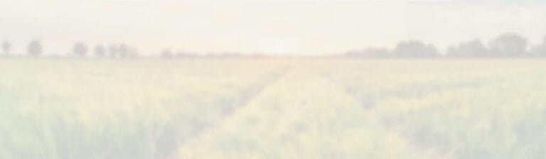 Schmitt Woodland Hills