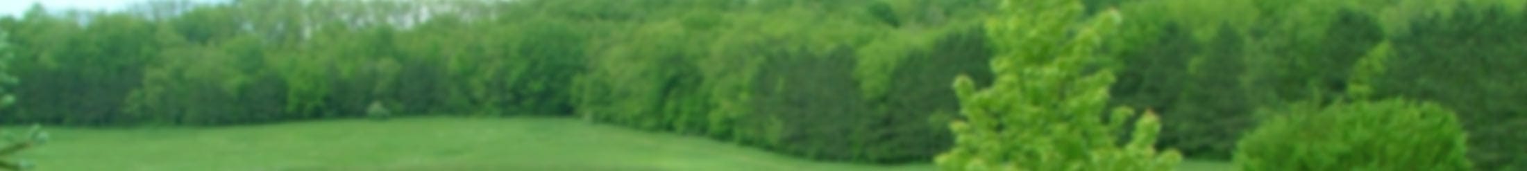 Schmitt Woodland Hills Inc