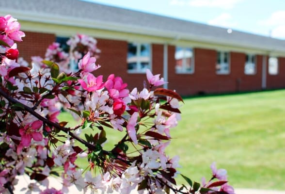 Accura Healthcare of Spirit Lake