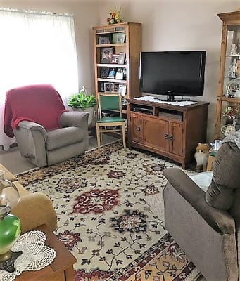 Cozy living room with armchairs and TV