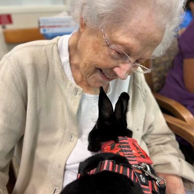 Senior resident enjoying time with a pet rabbit