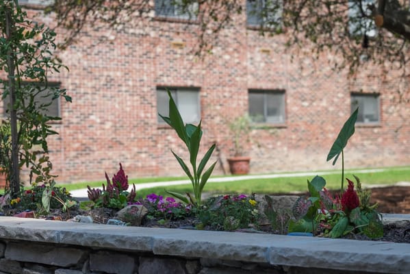 Colorful flowerbed in a garden
