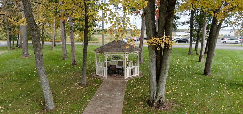 A gazebo surrounded by trees in a lush green space