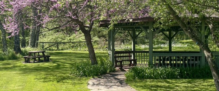 Serene garden area with gazebo and picnic tables