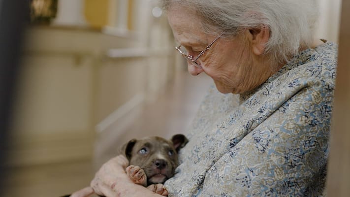 An elderly woman holding a puppy in a corridor