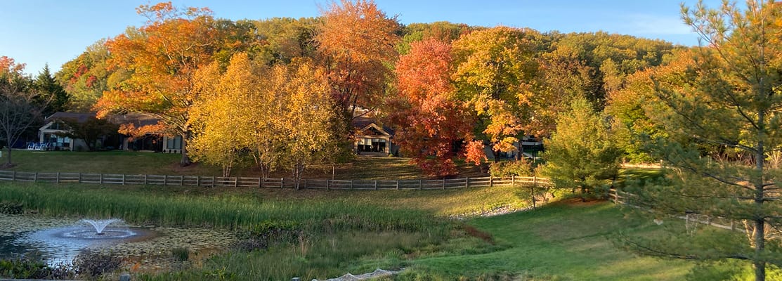 Colorful autumn landscape at the facility with a pond