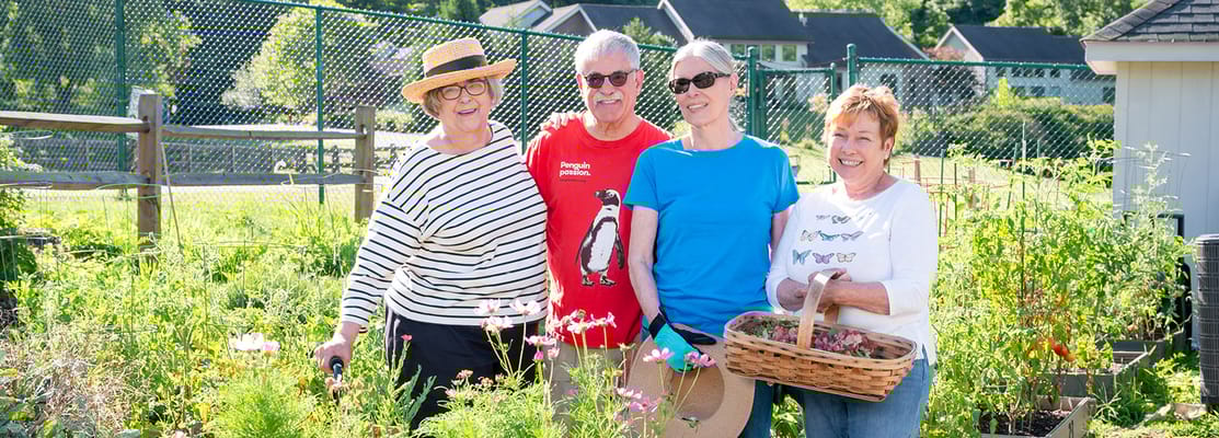 Residents gardening together in a community garden