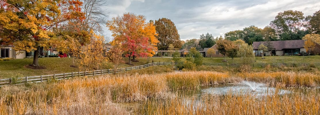 View of colorful trees around a serene pond
