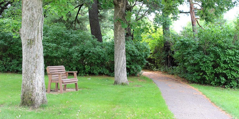Tranquil outdoor space with a bench and pathway