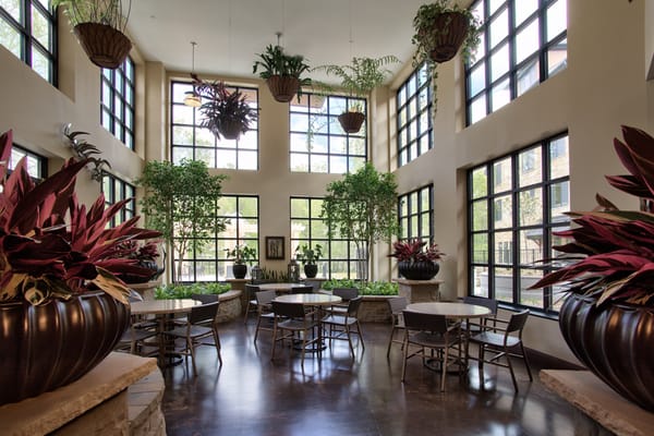 Bright and airy common area with plants and seating