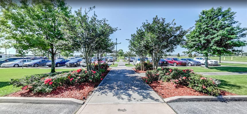 Pathway lined with flowers and vehicles in the background