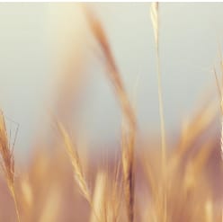 Complete Care At Prospect Heights Llc