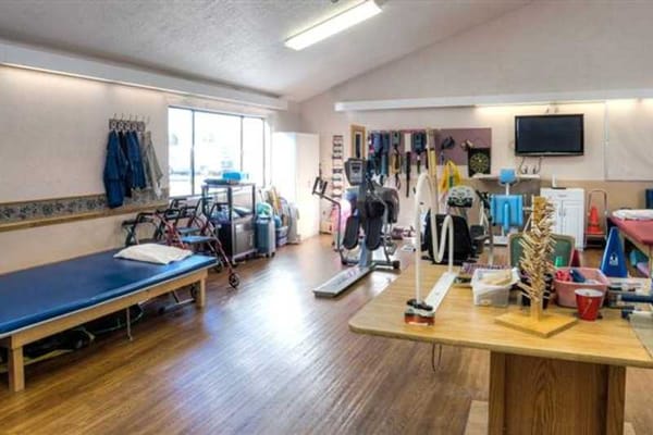 Rehabilitation gym with exercise equipment and therapy tools