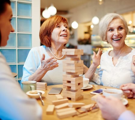 Aria at Mitchell Manor