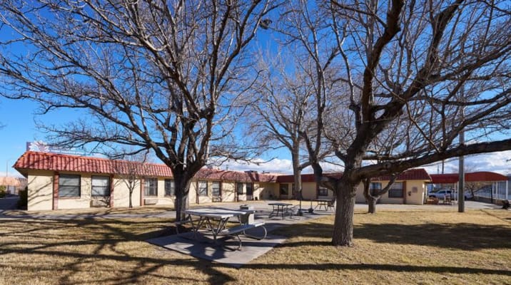 Outdoor view of a facility with trees and picnic tables