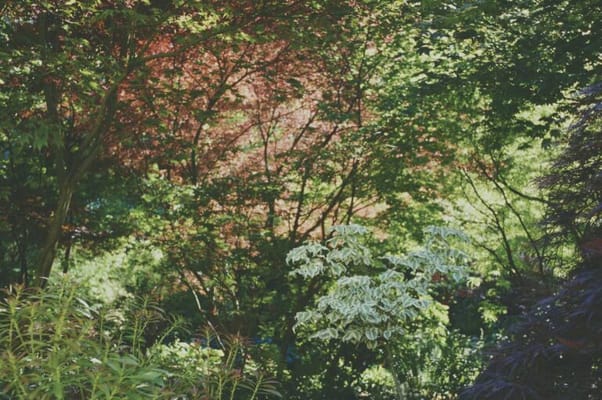 Avenue at Wooster Assisted Living