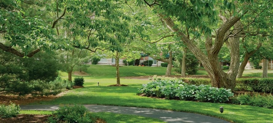 Serene landscaped garden with walking path