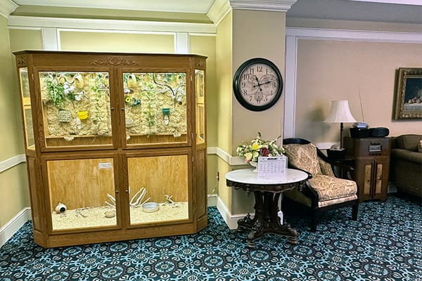 Cozy interior with display cabinet and seating area
