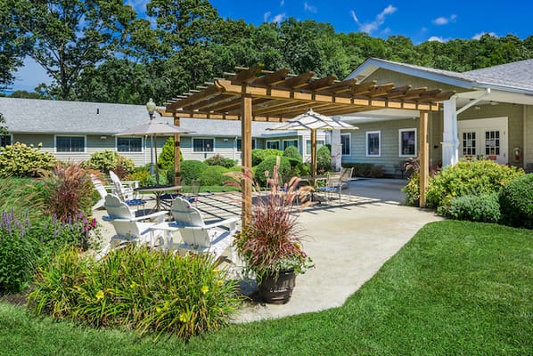 Elderwood of Scallop Shell at Wakefield