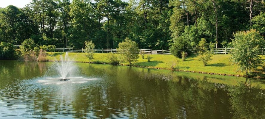 Scenic view of a pond with fountain in a green area