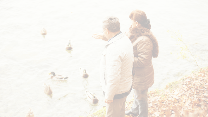 Residents enjoying time by the water feeding ducks
