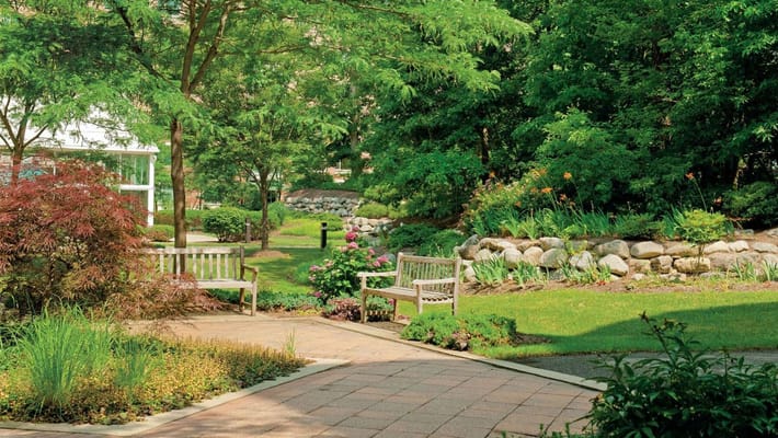 A peaceful garden with benches surrounded by greenery