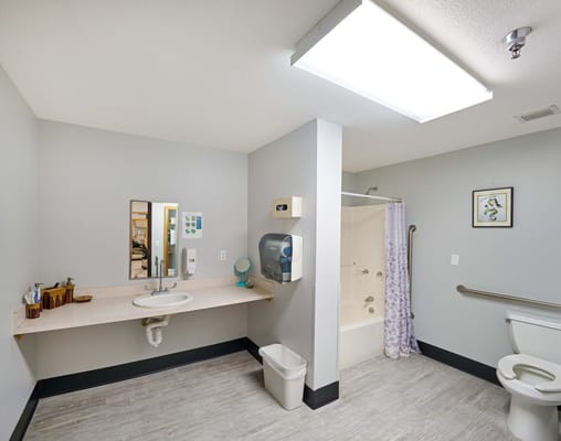 Accessible bathroom with shower, sink, and toilet