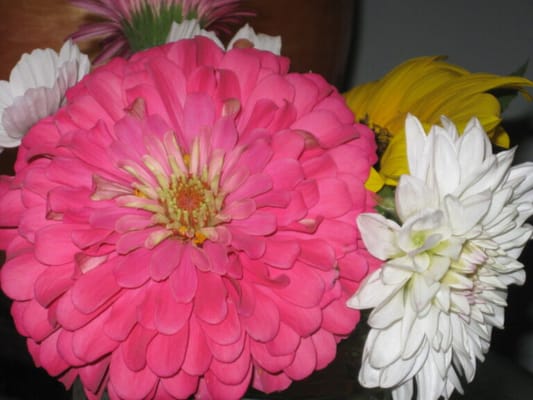 Brooklyn United Methodist Church Home