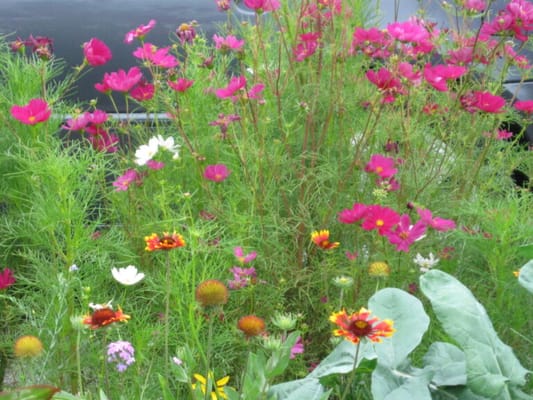 Brooklyn United Methodist Church Home