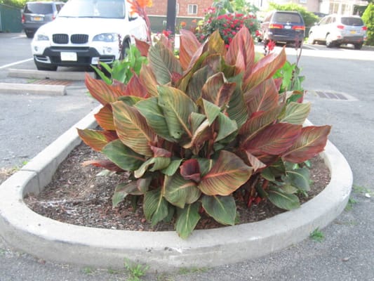 Brooklyn United Methodist Church Home