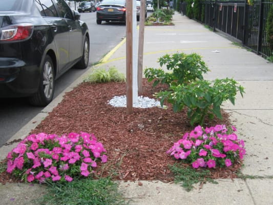 Brooklyn United Methodist Church Home