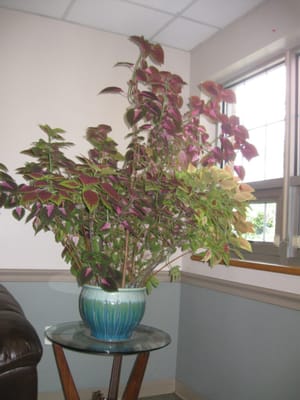 Brooklyn United Methodist Church Home