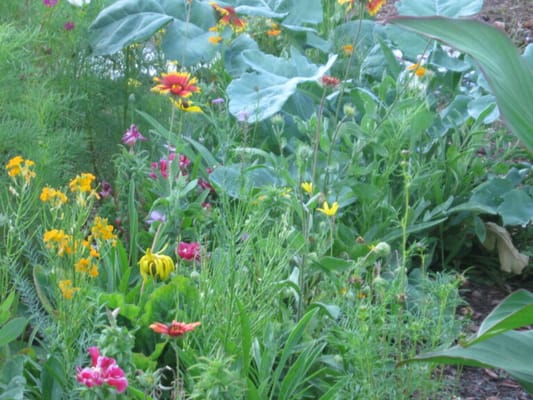 Brooklyn United Methodist Church Home
