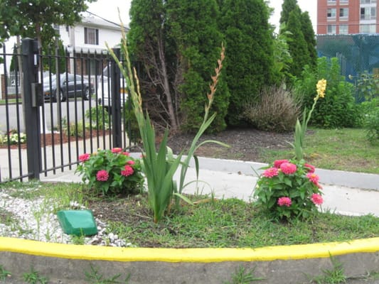 Brooklyn United Methodist Church Home