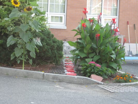 Colorful flower garden in an outdoor space