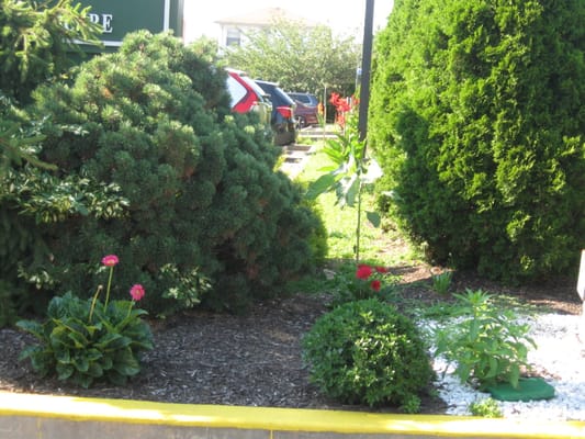 Well-maintained outdoor garden area with flowers