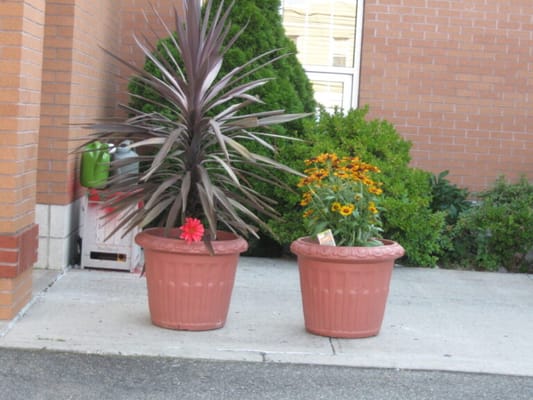 Brooklyn United Methodist Church Home