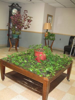 Interior common area with plants and furniture