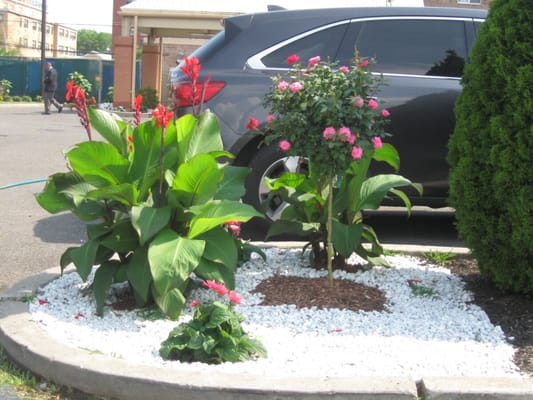 Colorful flower bed with greenery near a vehicle