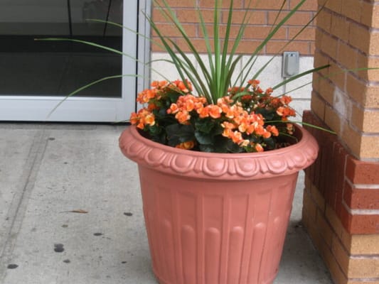 Brooklyn United Methodist Church Home