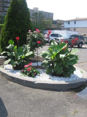 Brooklyn United Methodist Church Home