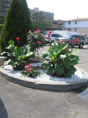 Flower garden with colorful plants and trees