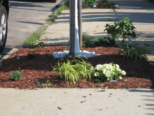 Brooklyn United Methodist Church Home