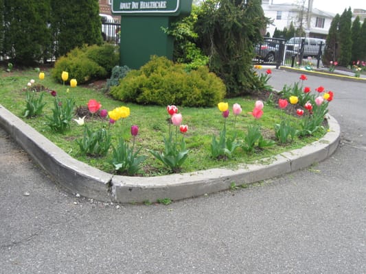 Colorful flower bed at the facility entrance