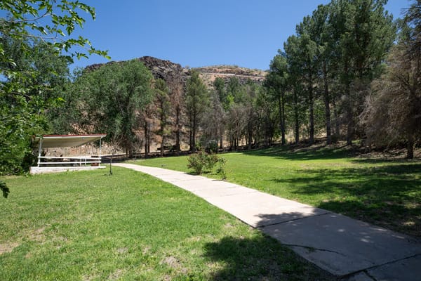 Scenic outdoor space with path and trees