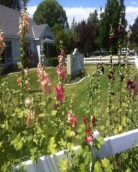 Country View Assisted Living