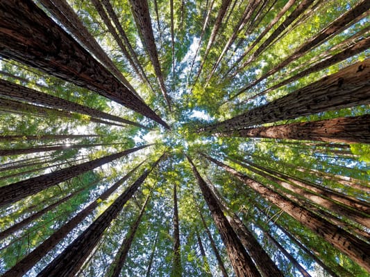 Greenwood Assisted Living